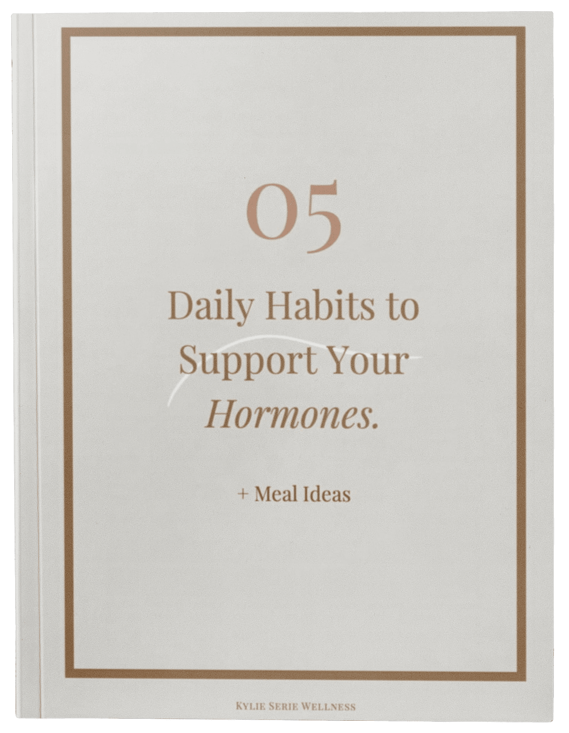 5 daily habits freebie preview